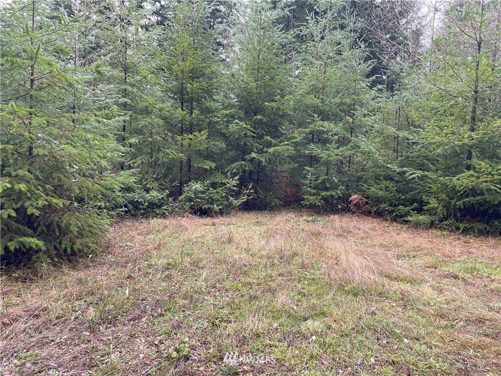 999 Chickadee Road Quilcene, WA 98376 - Photo 1 of 1