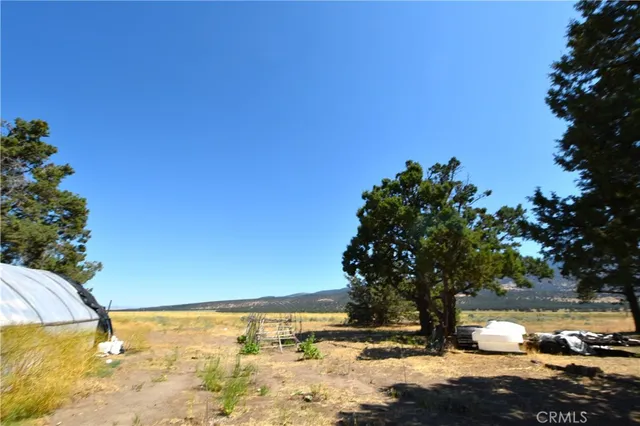 a view of a park with slide