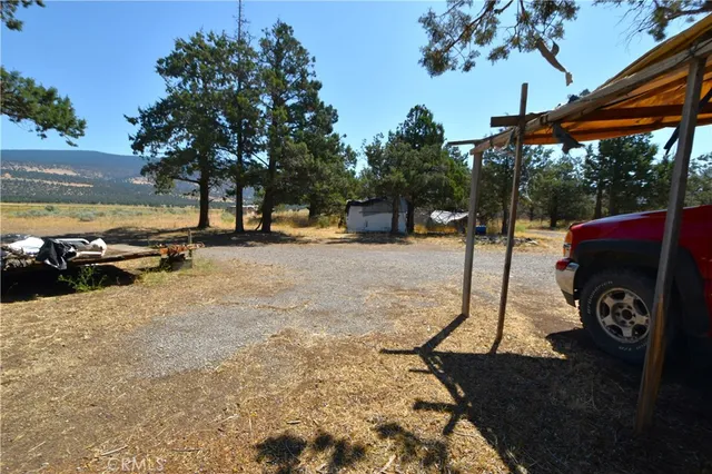 a view of a road with a tree in the background