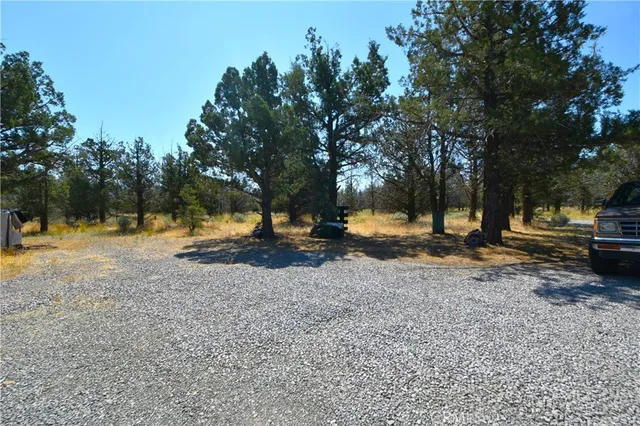 a view of a yard with a tree