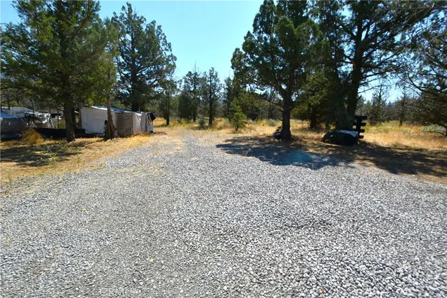 a view of a house with backyard and trees