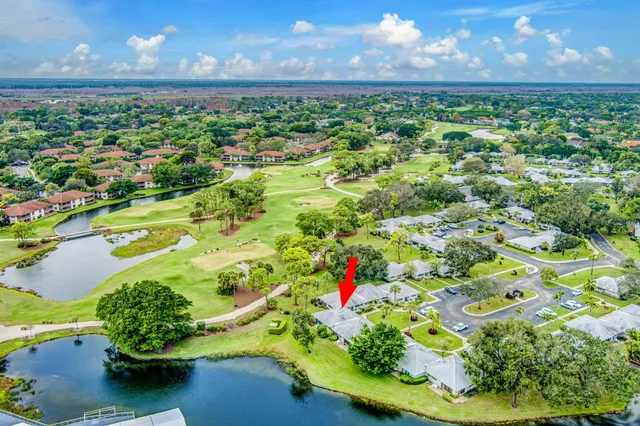 a view of a bunch of flowers in a garden