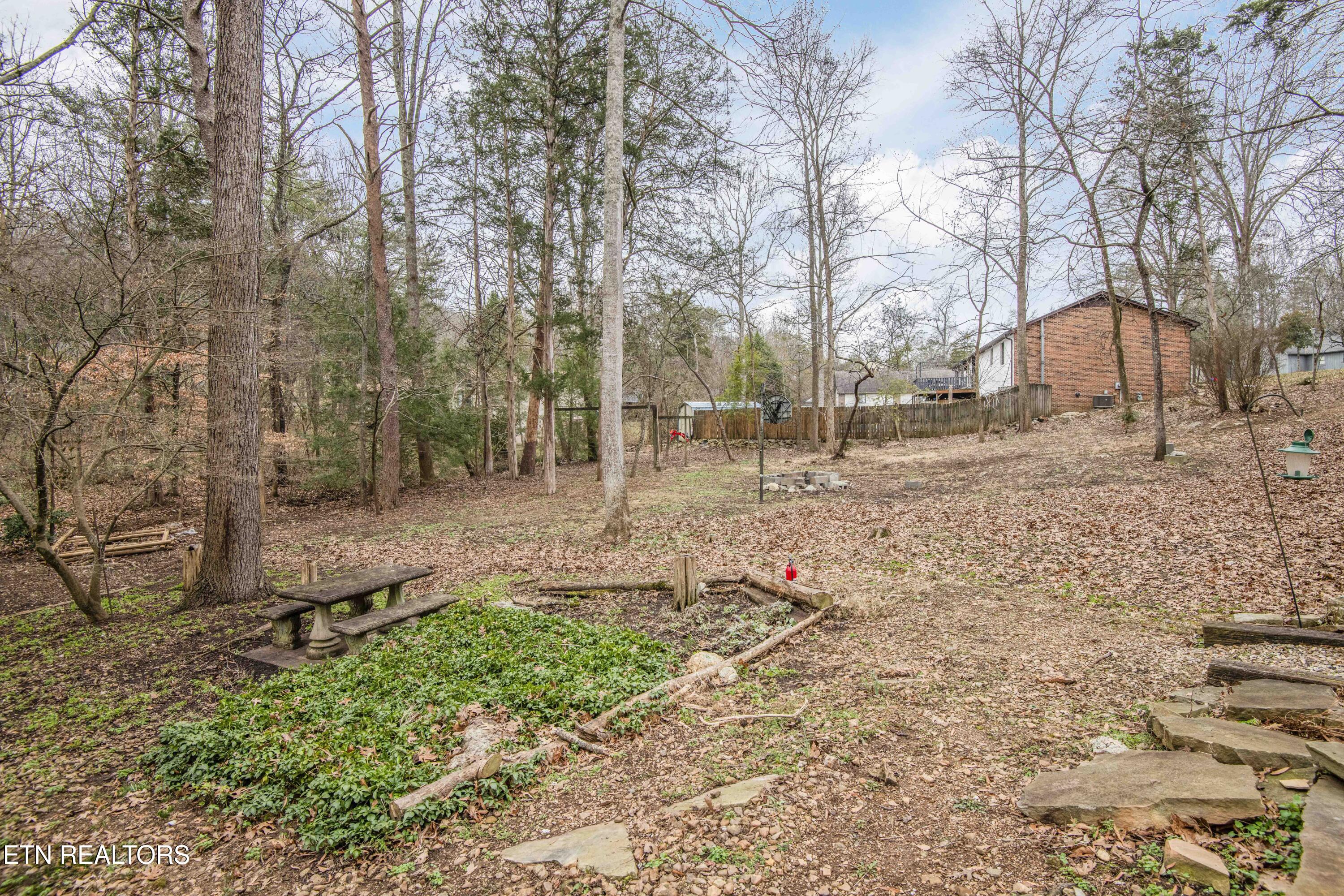 126 Claremont Road Oak Ridge, TN 37830 - Photo 38 of 46 yard 5_1