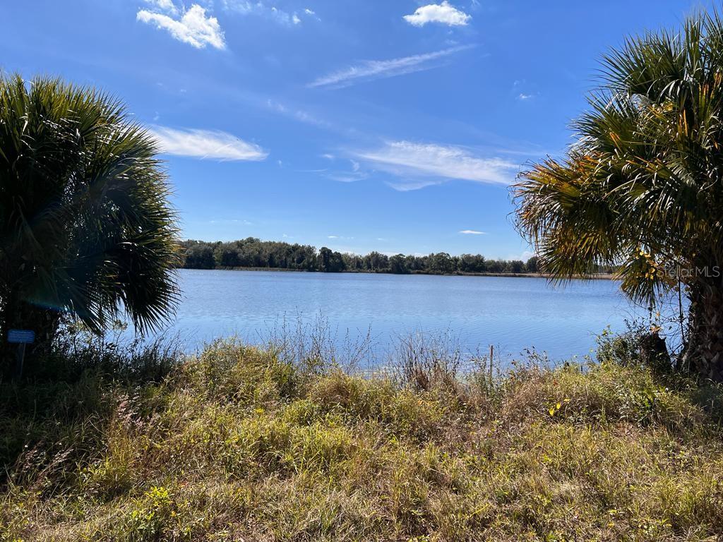 3412 Lake Diane Road, Unit 67 Tavares, FL 32778 - Photo 2 of 11