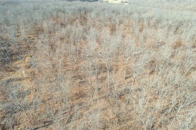 $69,900 | Tbd Horizon Road, Lebanon, MO 65536