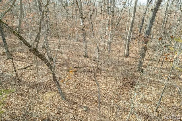 $69,900 | Tbd Horizon Road, Lebanon, MO 65536