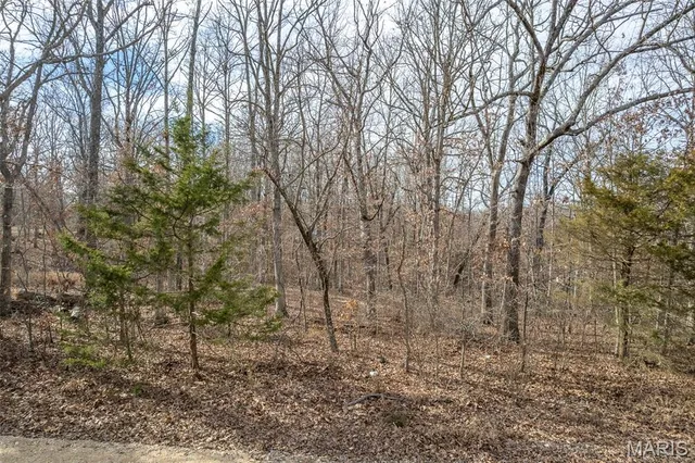 $69,900 | Tbd Horizon Road, Lebanon, MO 65536