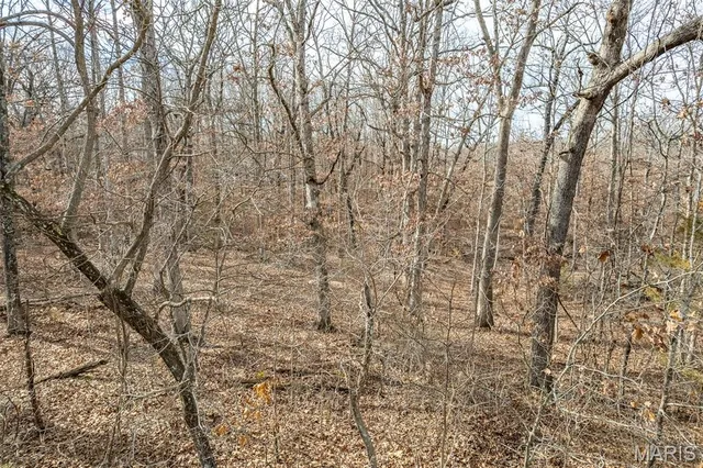 $69,900 | Tbd Horizon Road, Lebanon, MO 65536