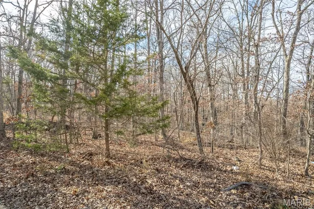 $69,900 | Tbd Horizon Road, Lebanon, MO 65536