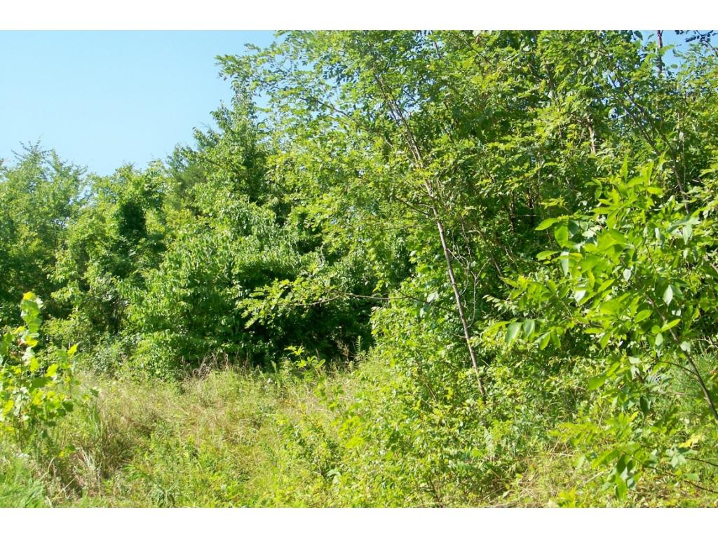 0 Whitehouse Road Greeneville, TN 37745 - Photo 1 of 2 Photo 1
