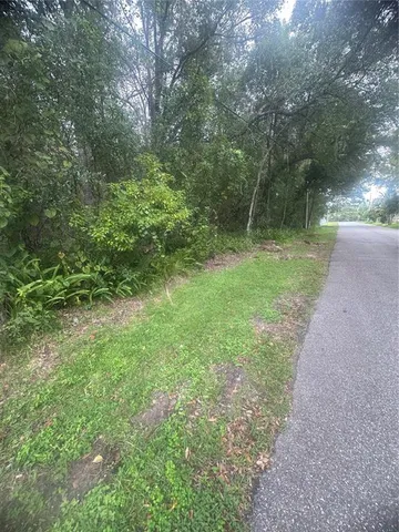 a view of a yard with a trees