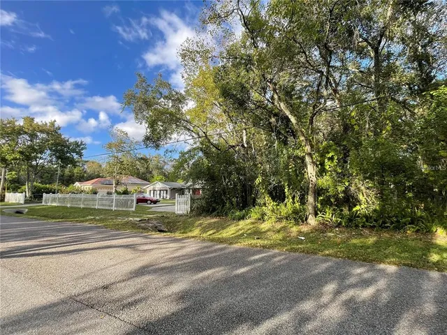 a view of a yard with a tree