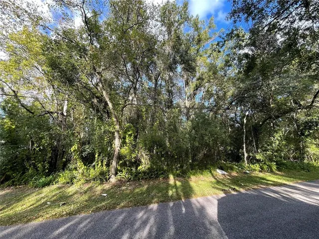 a view of a yard with plants and trees
