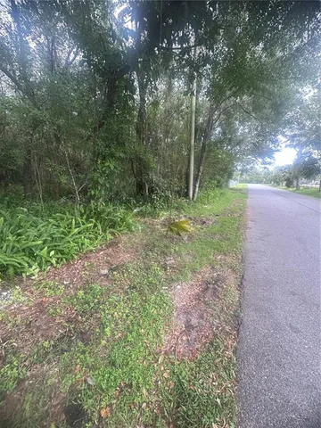 a big yard with lots of green space and deers