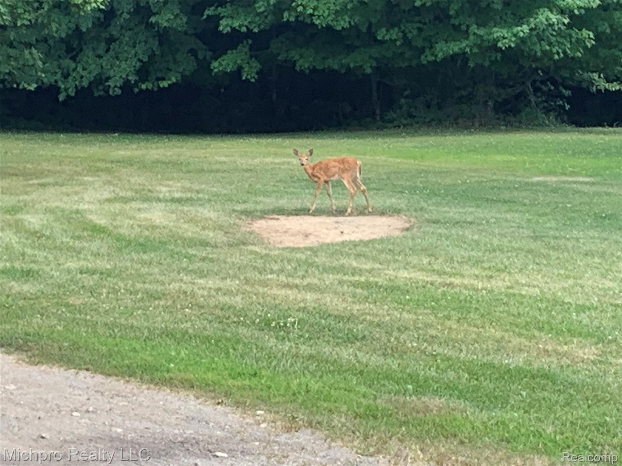 4673 Bishop Road Dryden, MI 48428 - Photo 34 of 34 Bishop 24.jpg