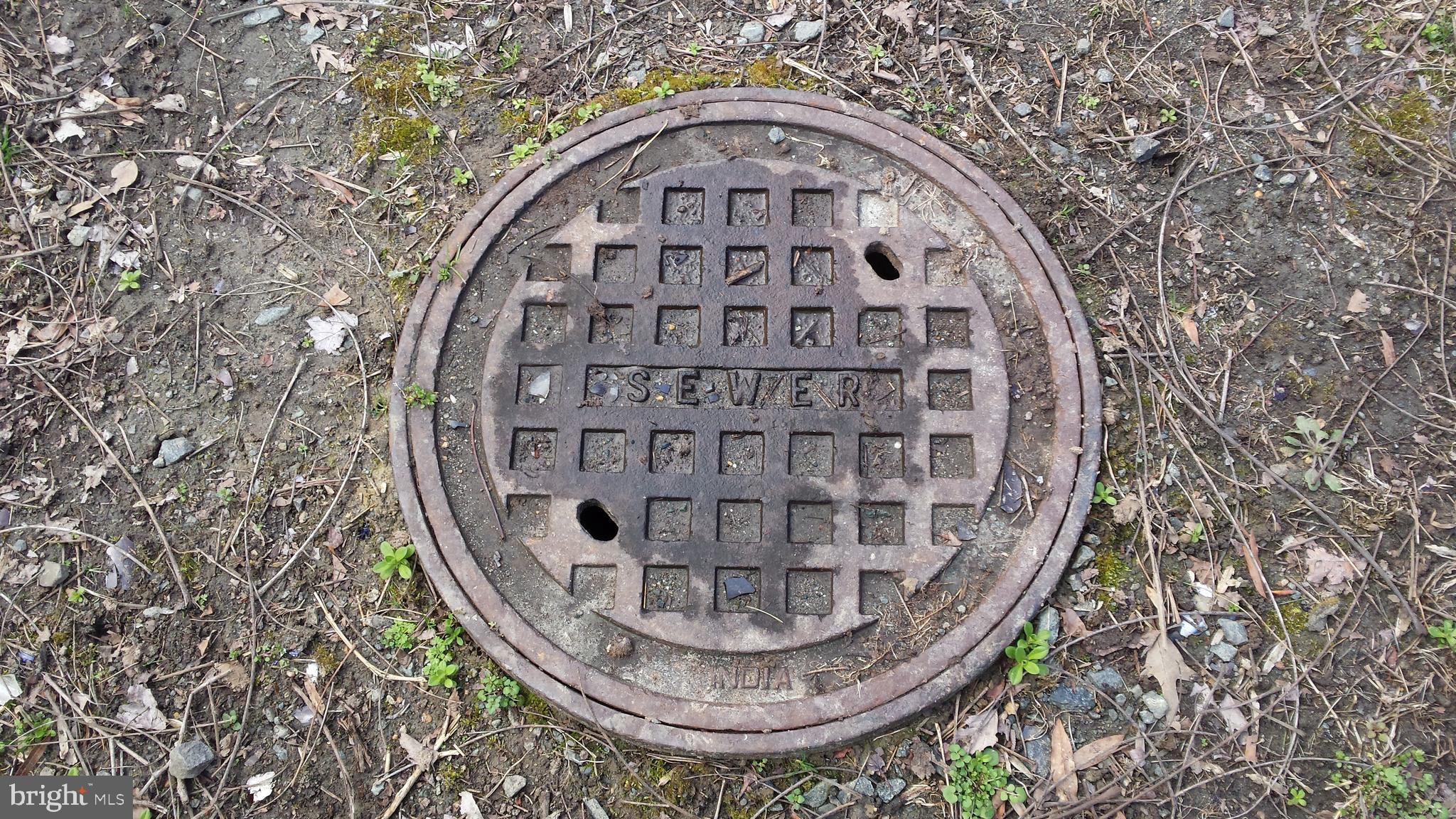 Passapatanzy Road King George, VA 22485 - Photo 2 of 14