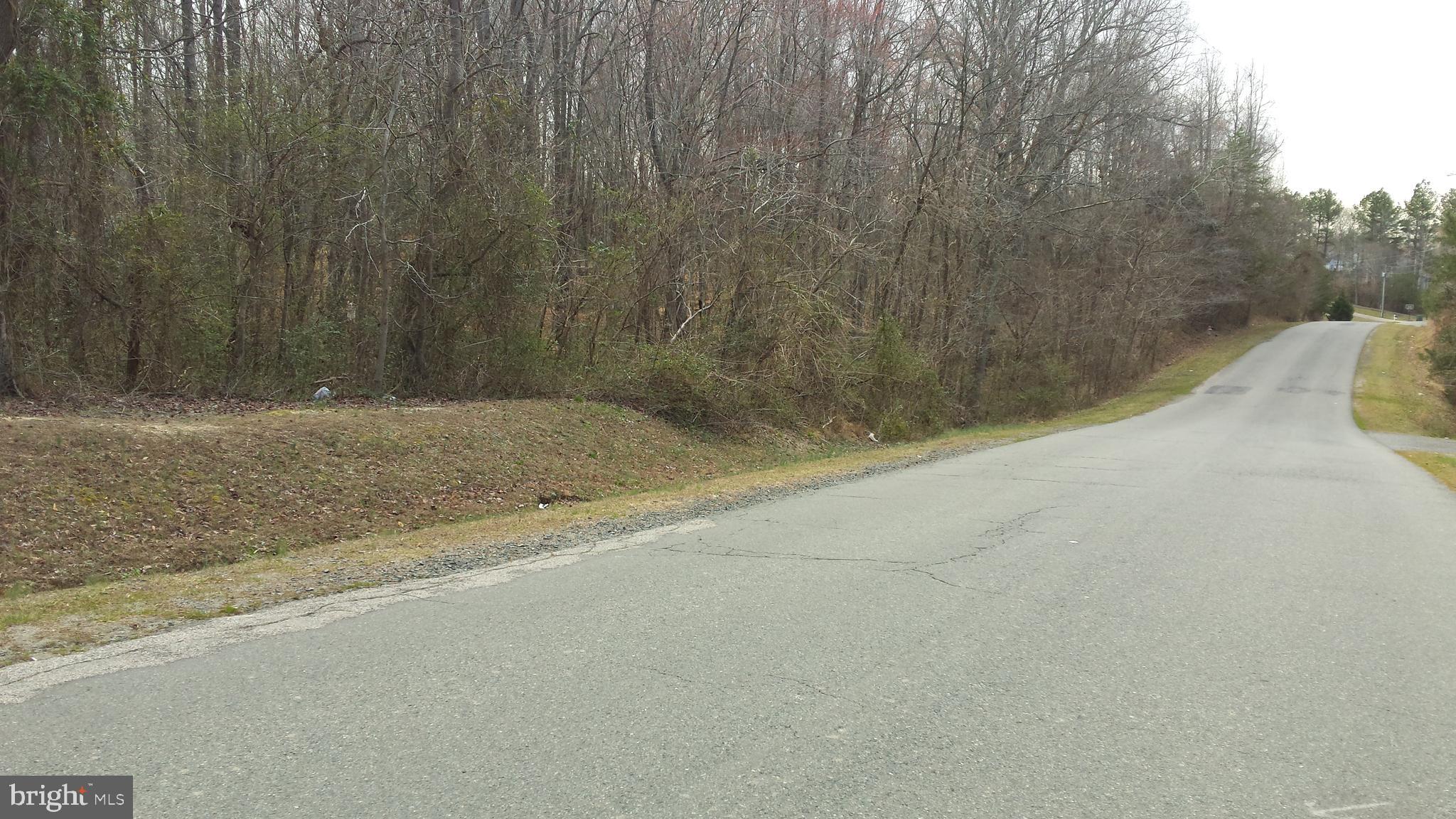 Passapatanzy Road King George, VA 22485 - Photo 11 of 14 Passapatanazany Rd. frontage