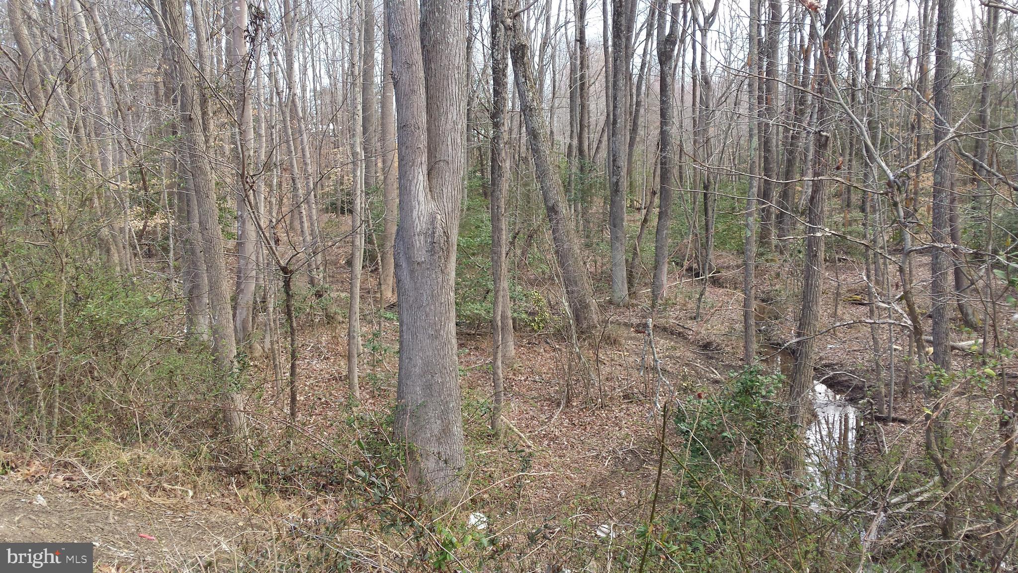 Passapatanzy Road King George, VA 22485 - Photo 12 of 14 creek