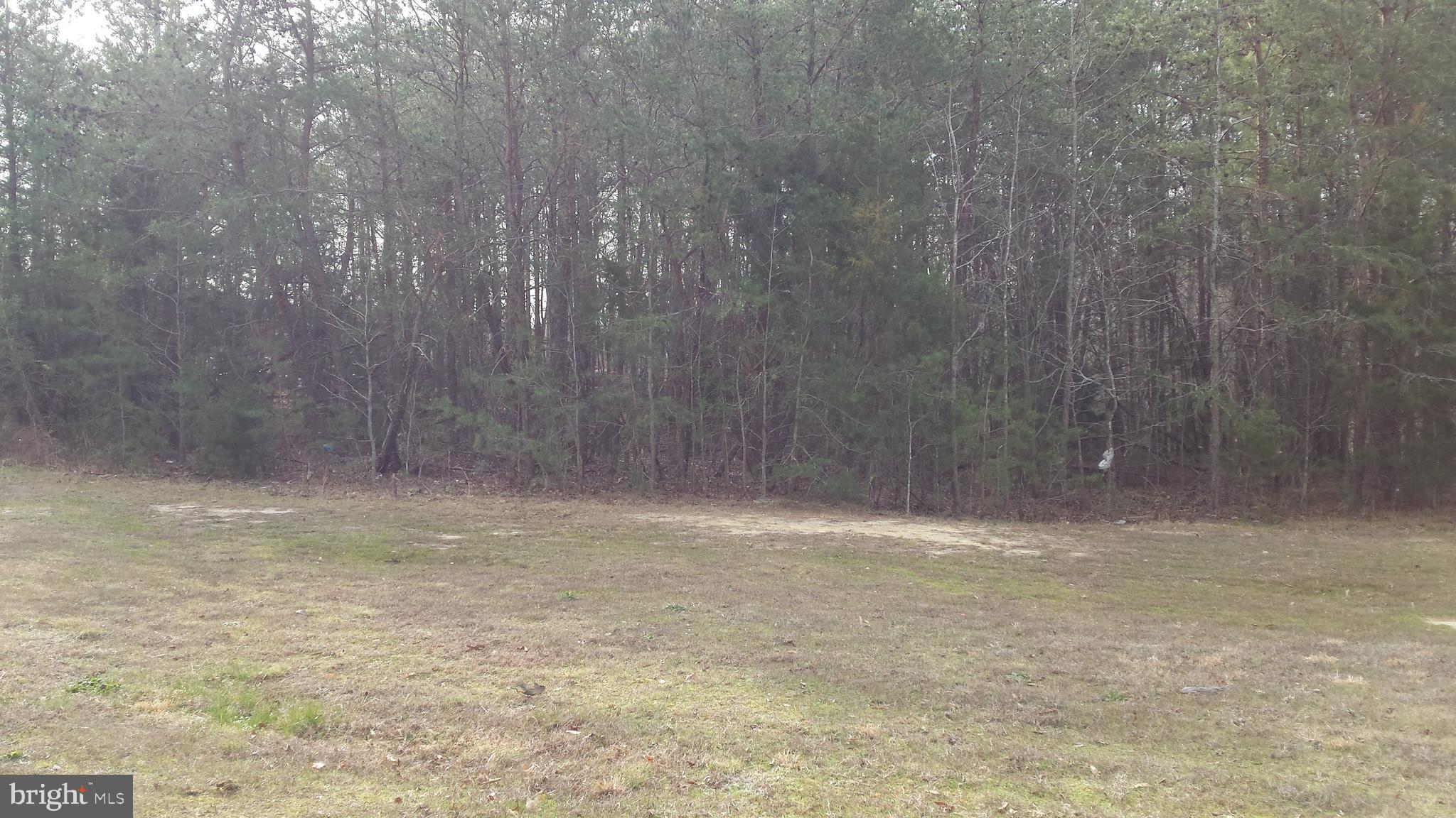 Passapatanzy Road King George, VA 22485 - Photo 13 of 14