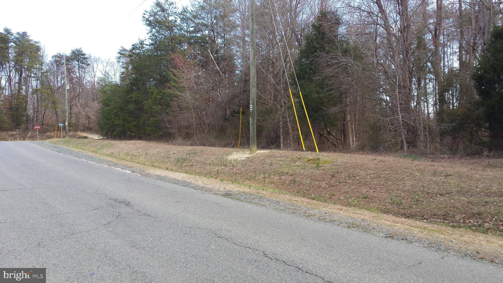 Passapatanzy Road King George, VA 22485 - Photo 3 of 14