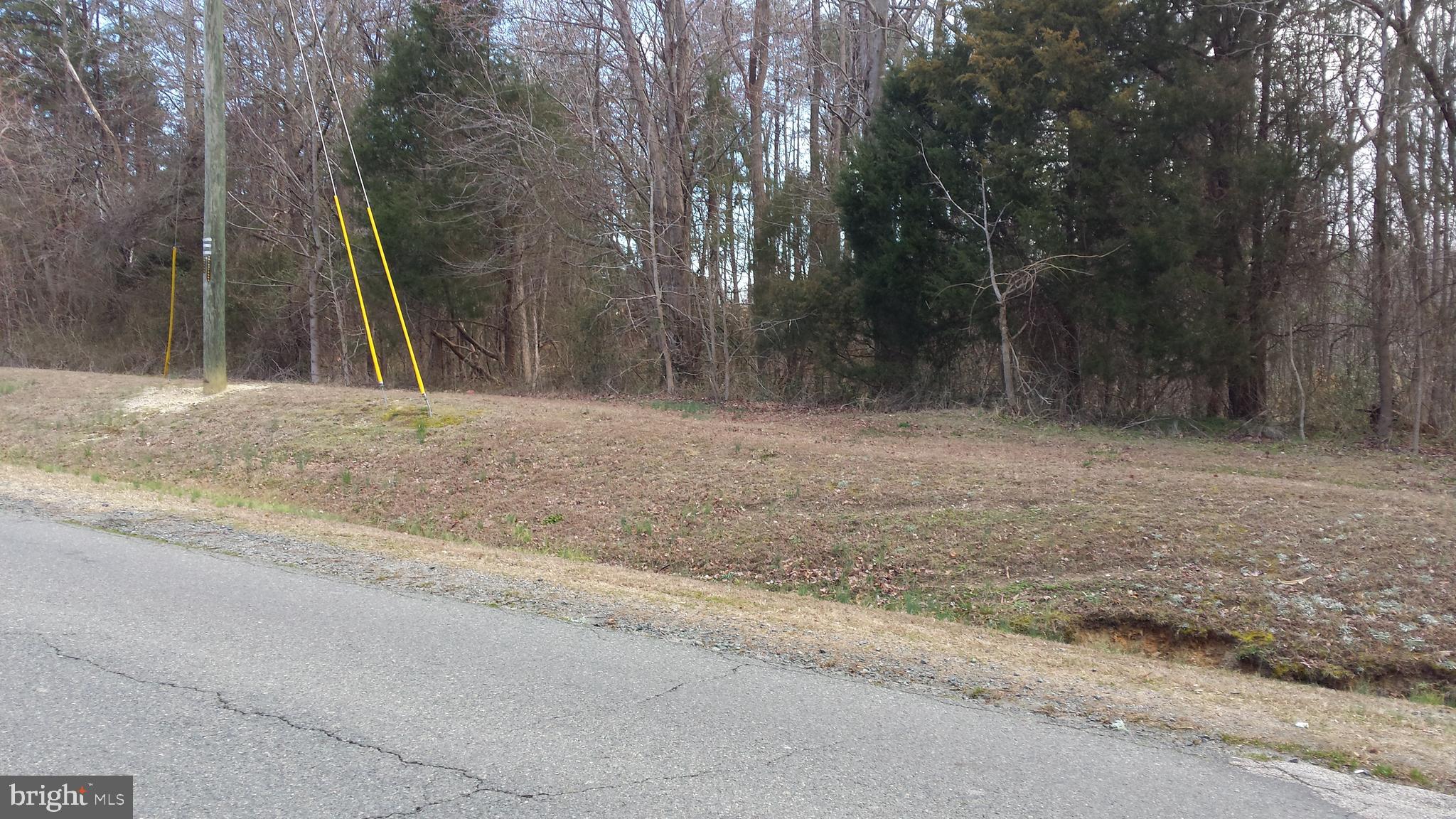 Passapatanzy Road King George, VA 22485 - Photo 4 of 14