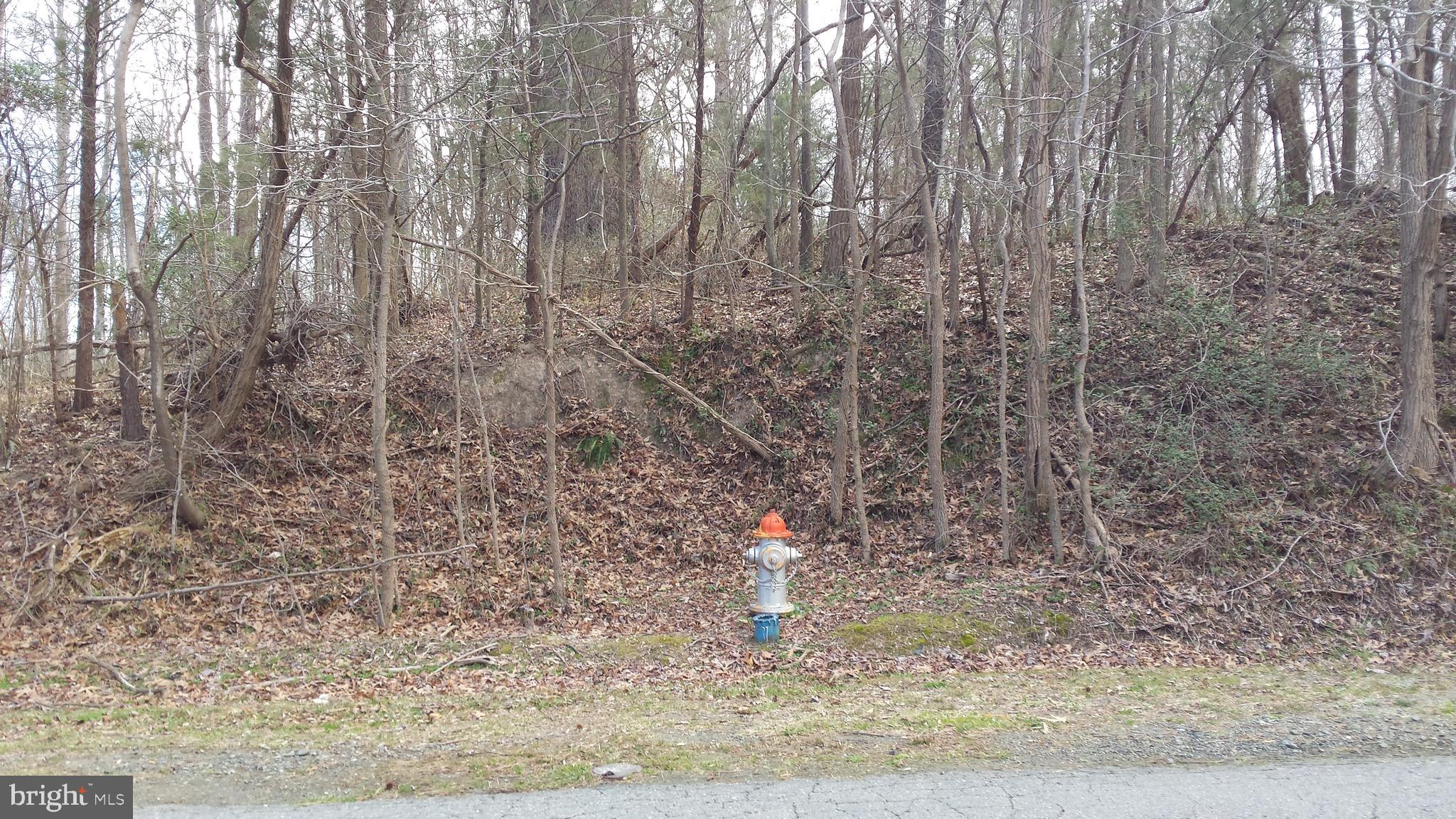 Passapatanzy Road King George, VA 22485 - Photo 8 of 14 Hydrant