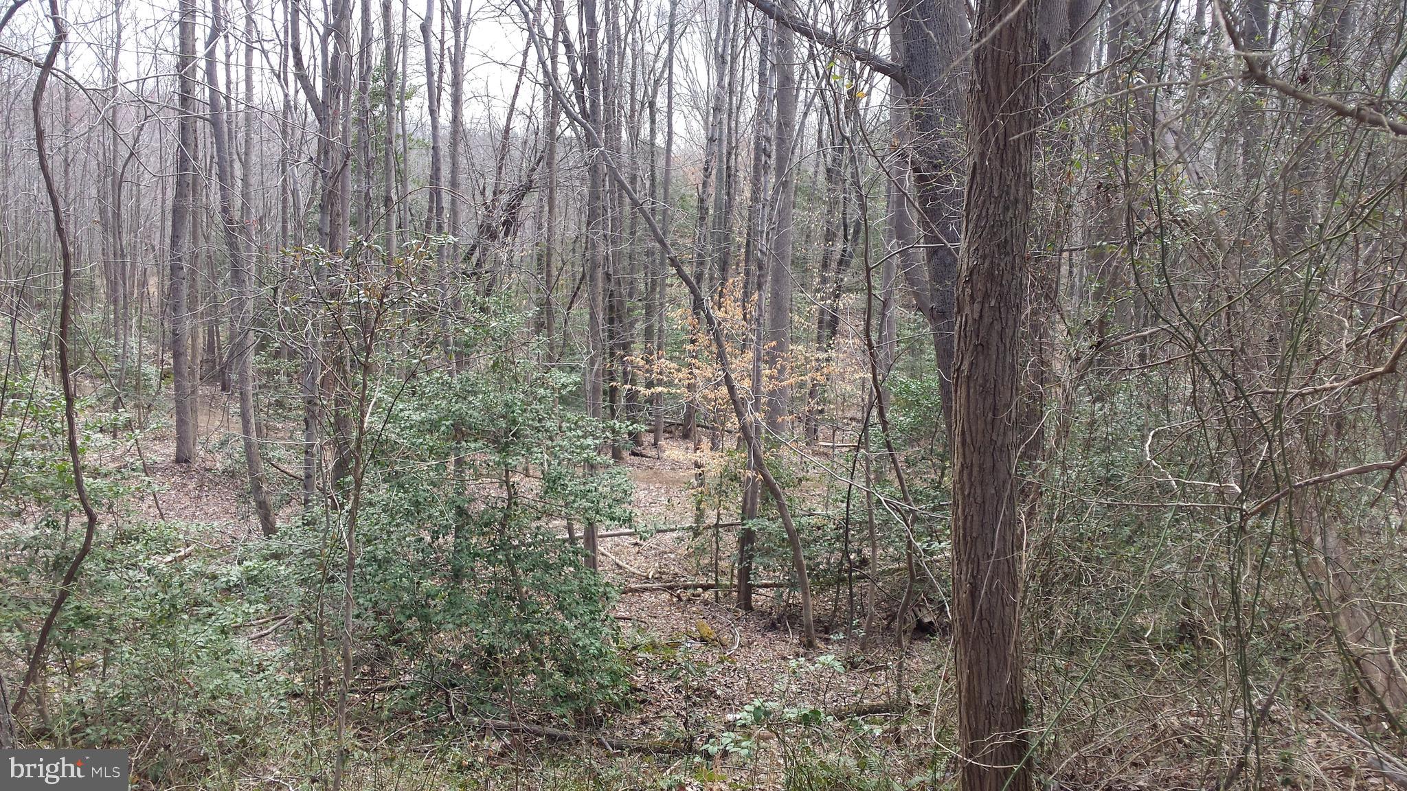 Passapatanzy Road King George, VA 22485 - Photo 10 of 14