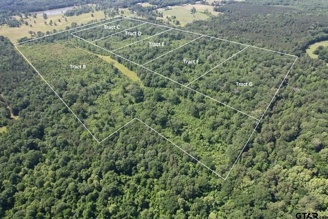 a view of a yard with a plant