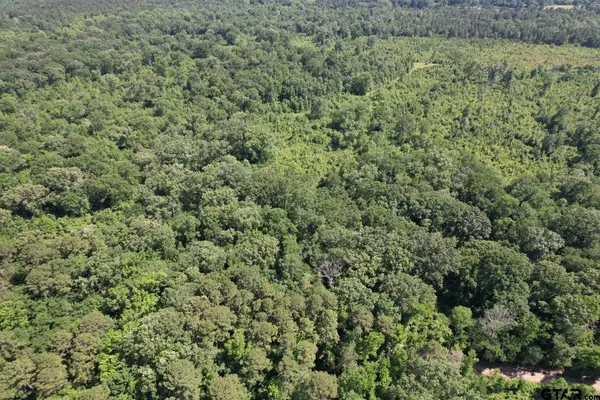 a view of a field of grass and trees