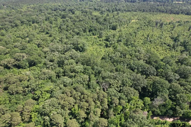 a view of a field of grass and trees