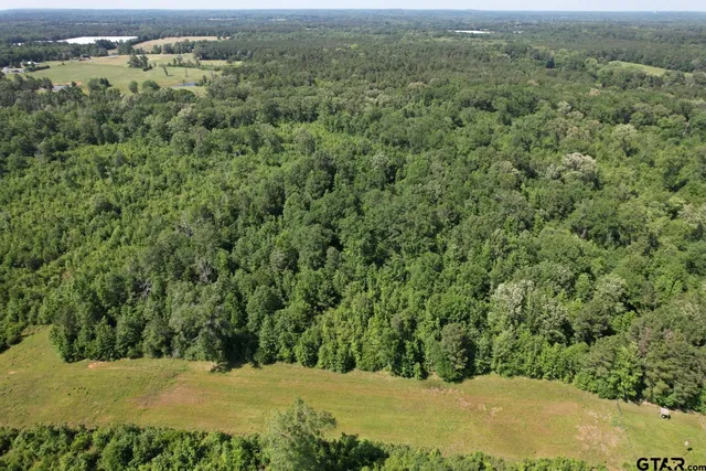 a view of a green field