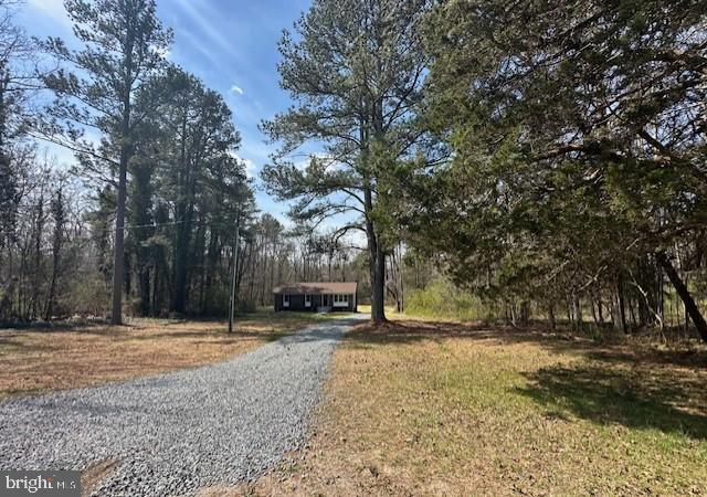 26022 Zion Road Ruther Glen, VA 22546 - Photo 20 of 21 a view of road with large trees