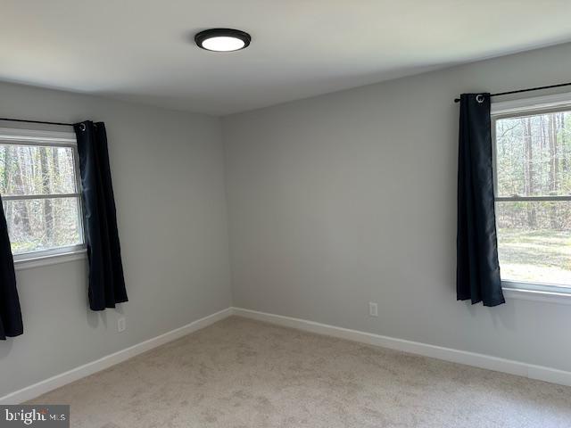 26022 Zion Road Ruther Glen, VA 22546 - Photo 8 of 21