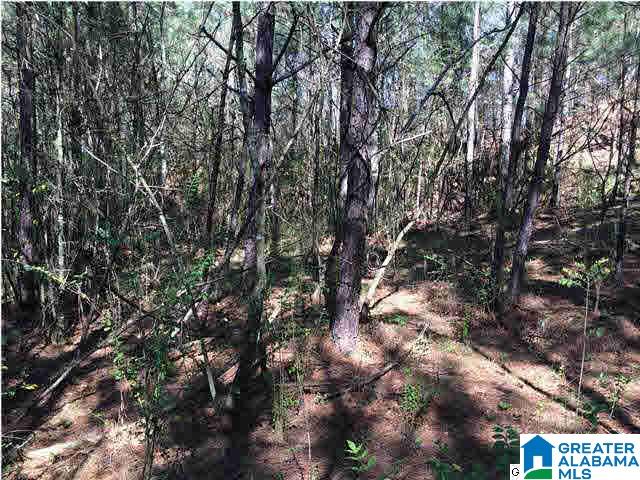 79 Highway 79, Unit 3 9 Cleveland, AL 35049 - Photo 16 of 21