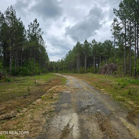 $122,900 | Lot 15 Holly Woods, Robbins, TN 37852