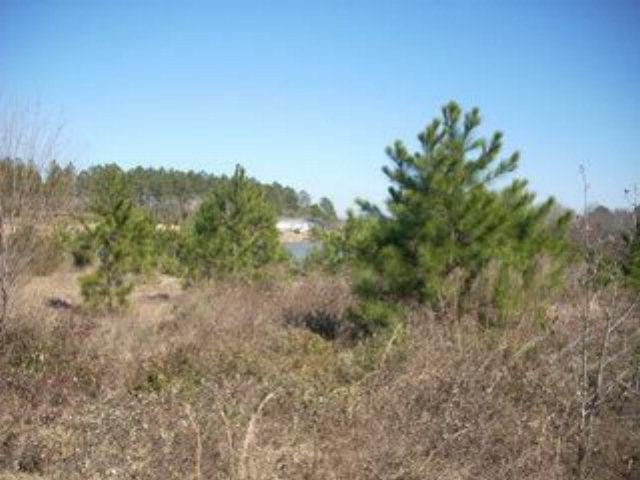 Lot 49 Timber Ridge Lakes Broxton, GA 31519 - Photo 1 of 1