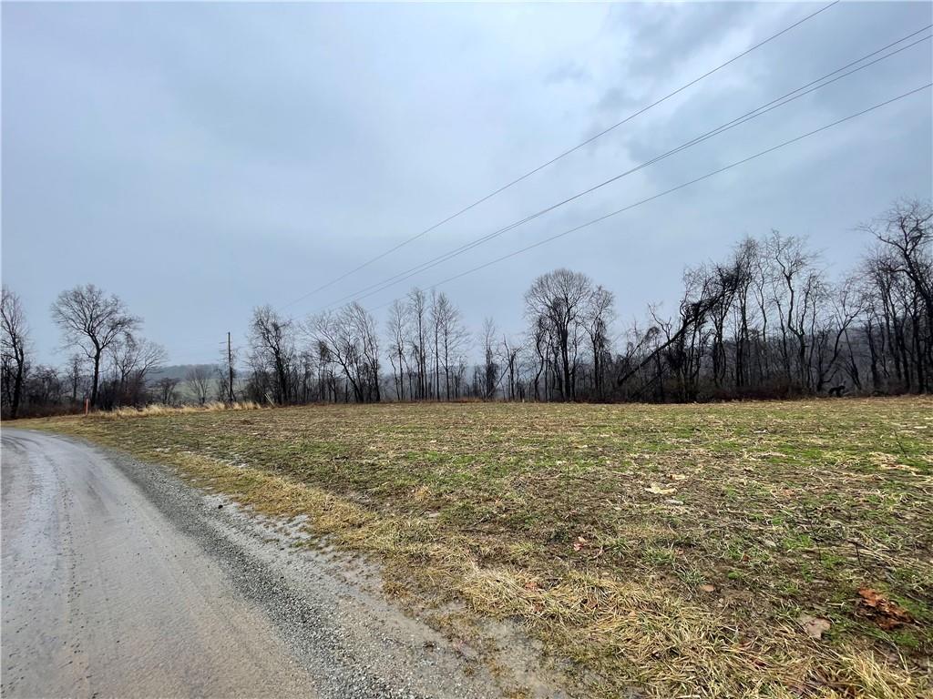 0 Craig & Henry Roads Marion Center, PA 15759 - Photo 12 of 12 a view of a field with trees in the background