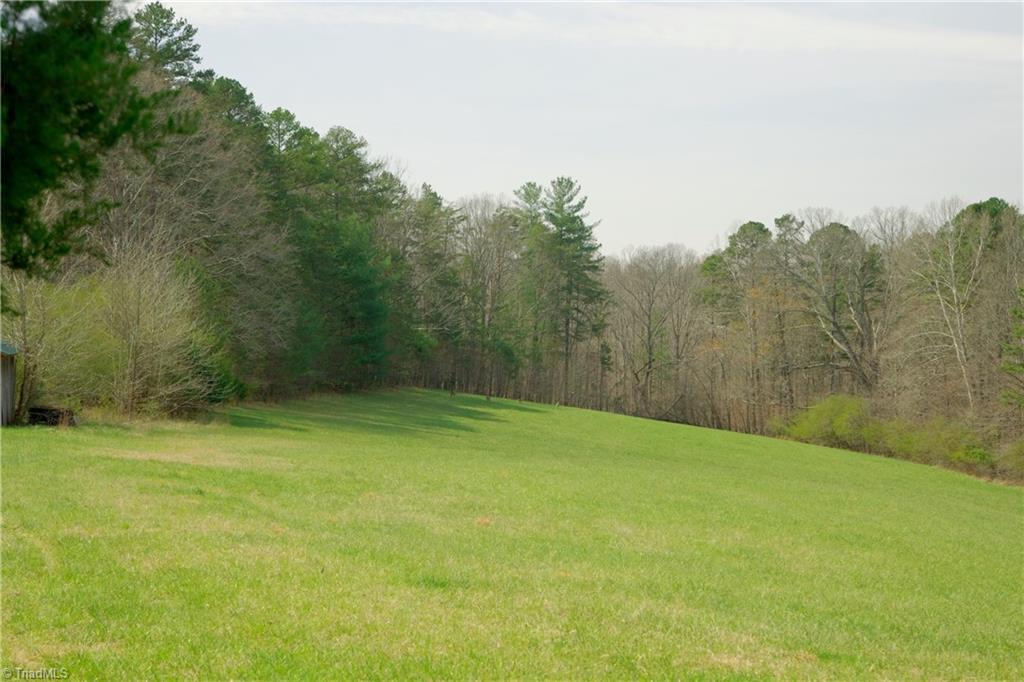 1019 George Road Westfield, NC 27053 - Photo 15 of 28