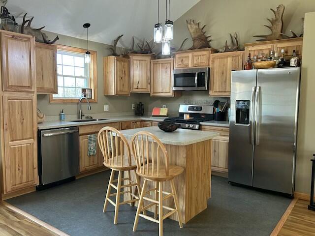 7 Bruce Road Corinth, ME 04427 - Photo 9 of 38 tempImagec0yyvl