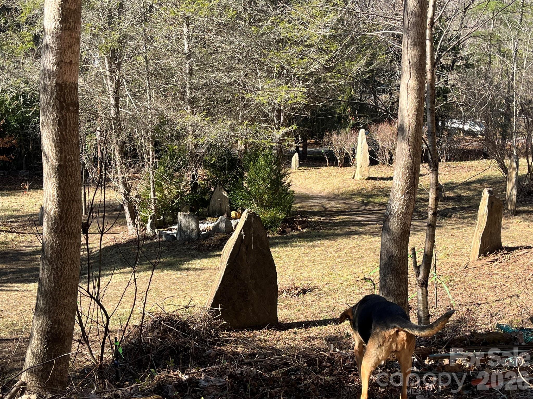 276 Cedar Creek Road Old Fort, NC 28762 - Photo 2 of 23