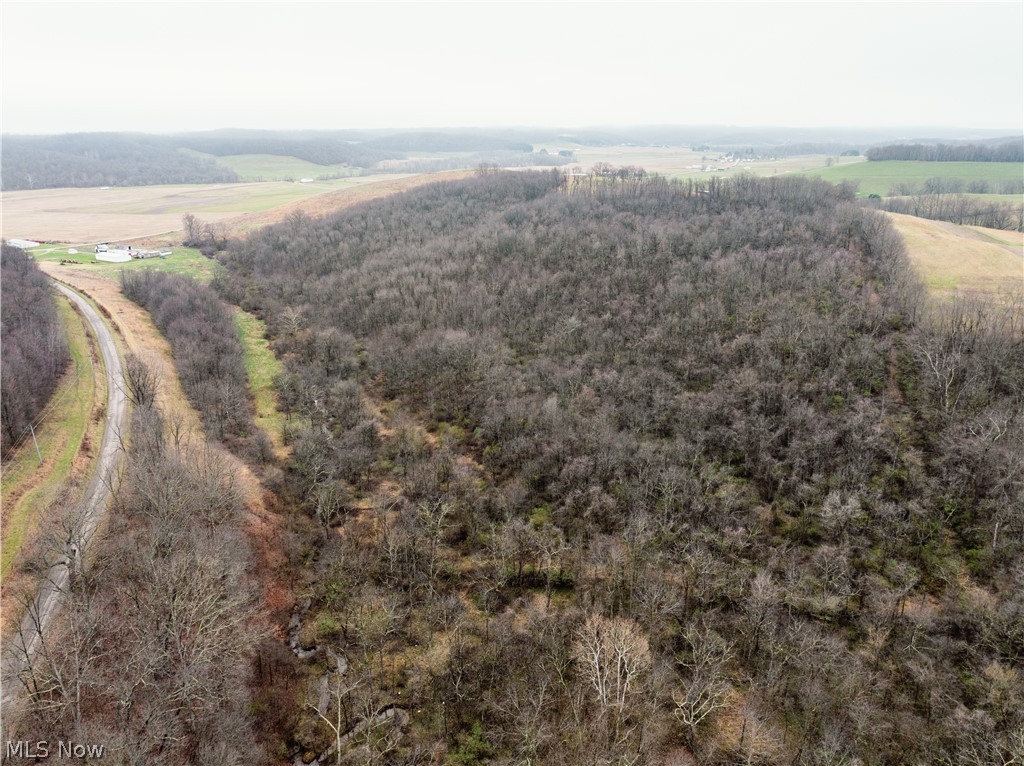 Buck Hill Road Frazeysburg, OH 43822 - Photo 19 of 24