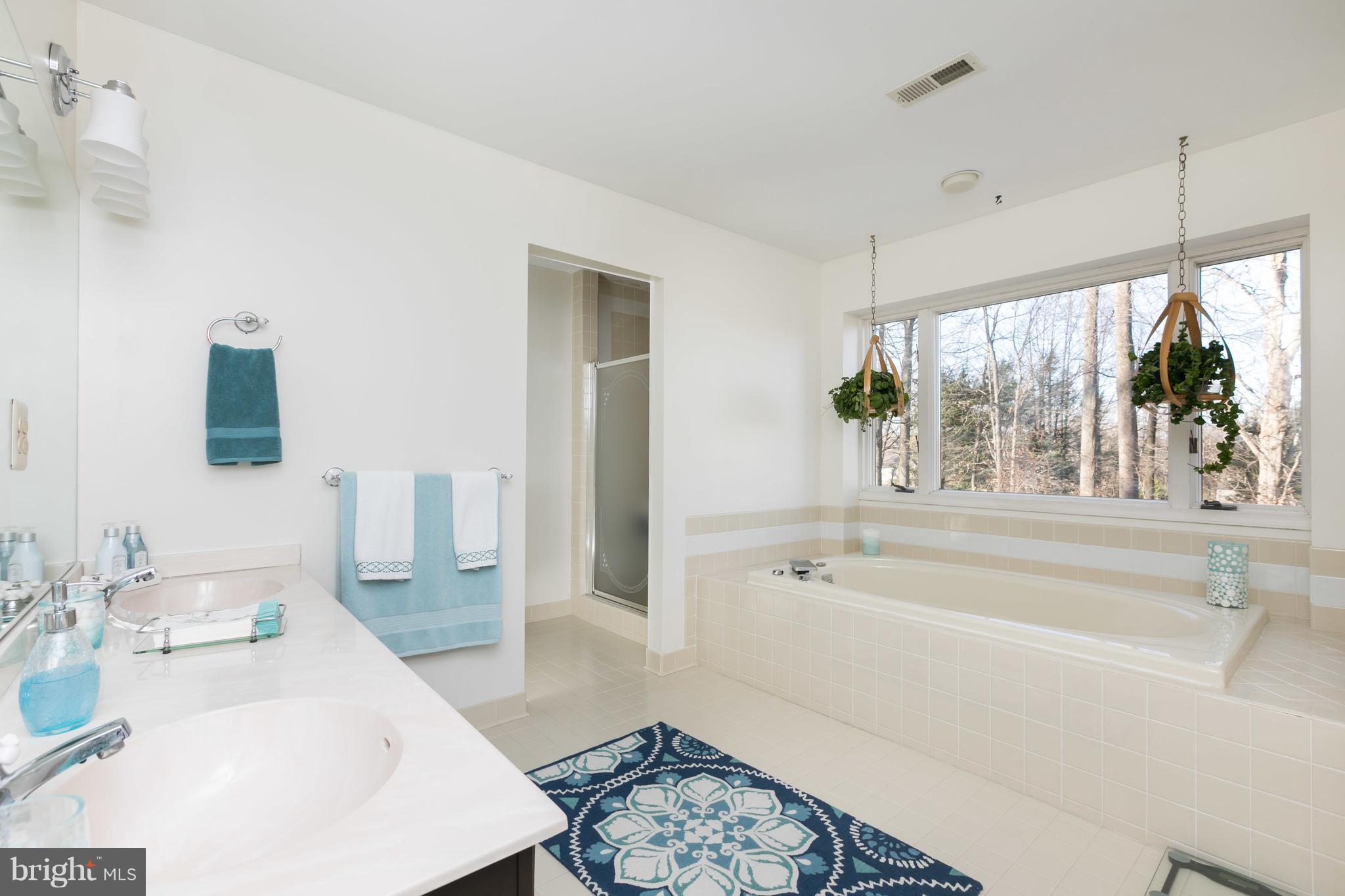 14110 Robcaste Road Phoenix, MD 21131 - Photo 16 of 28 Bath (Master)