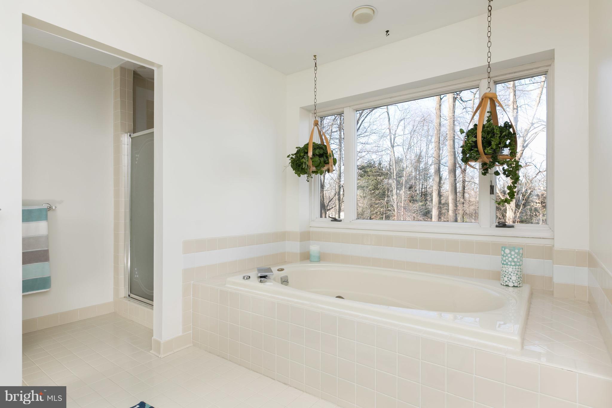 14110 Robcaste Road Phoenix, MD 21131 - Photo 17 of 28 Master bathroom with soaking tub