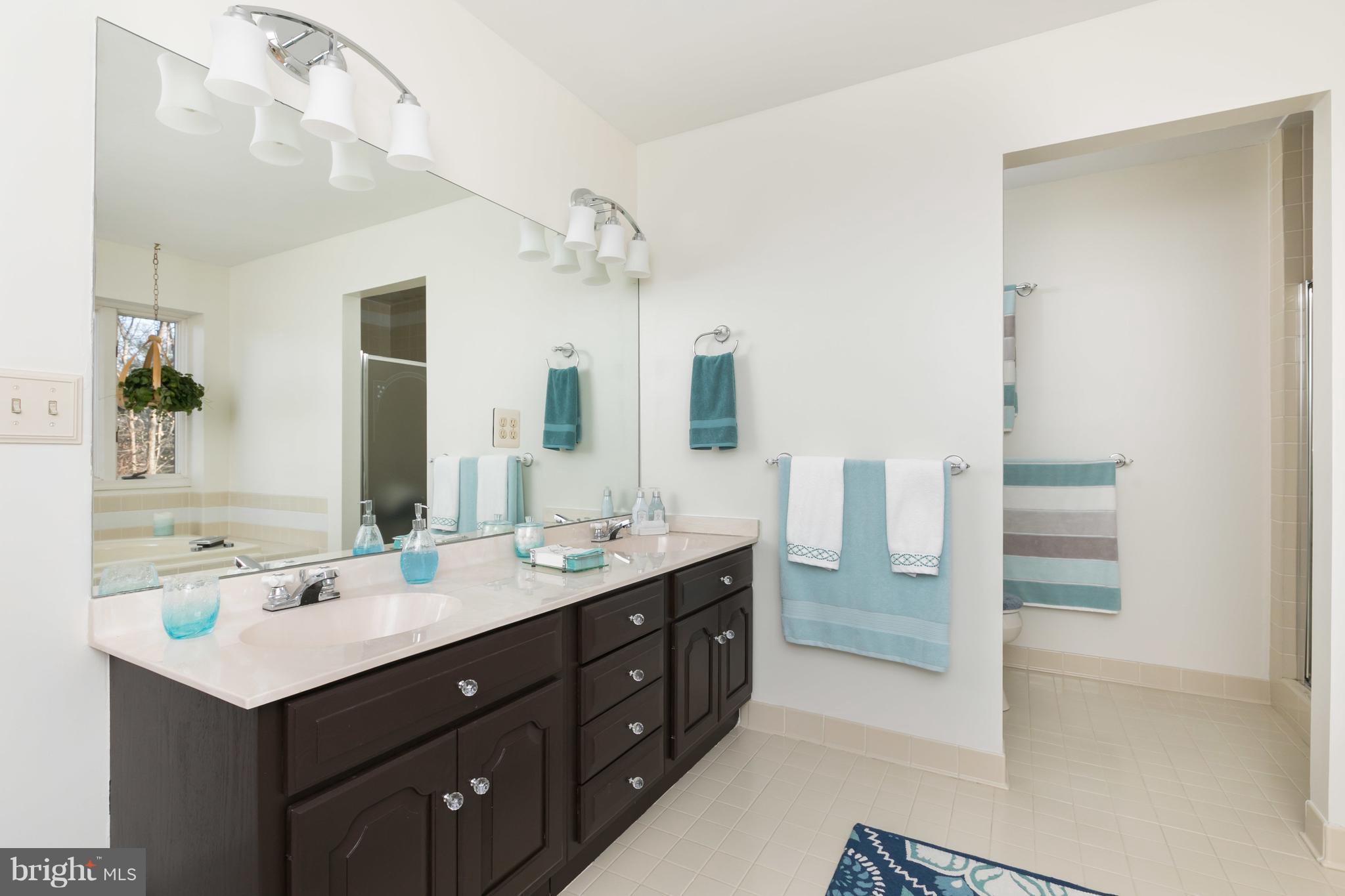 14110 Robcaste Road Phoenix, MD 21131 - Photo 22 of 28 Bath (Master)