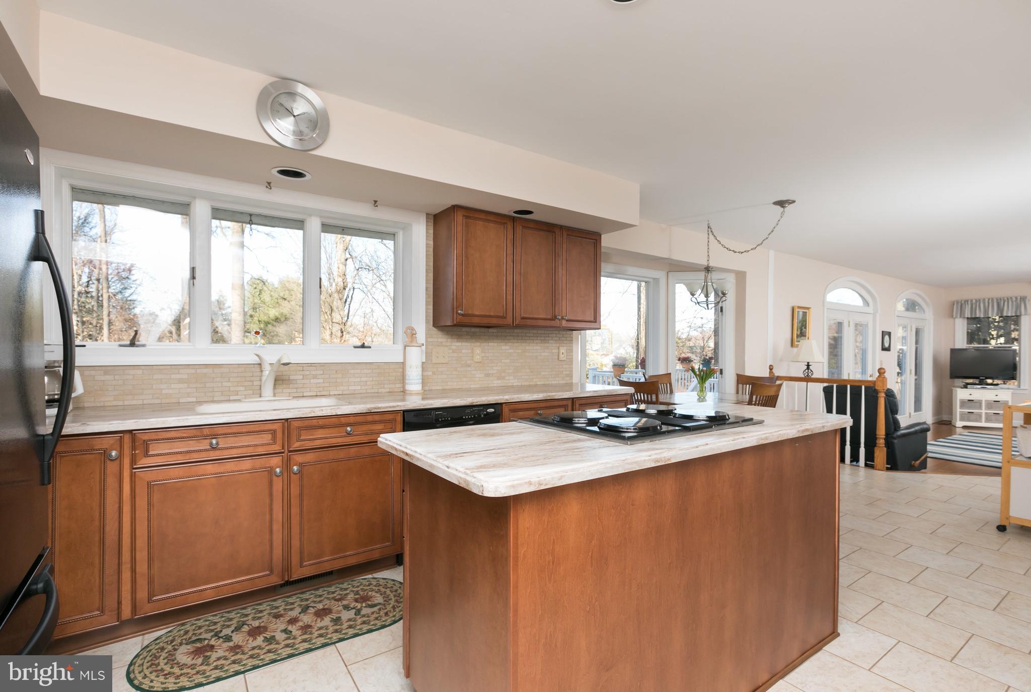 14110 Robcaste Road Phoenix, MD 21131 - Photo 6 of 28 Sunny kitchen overlooking the spectacular backyard