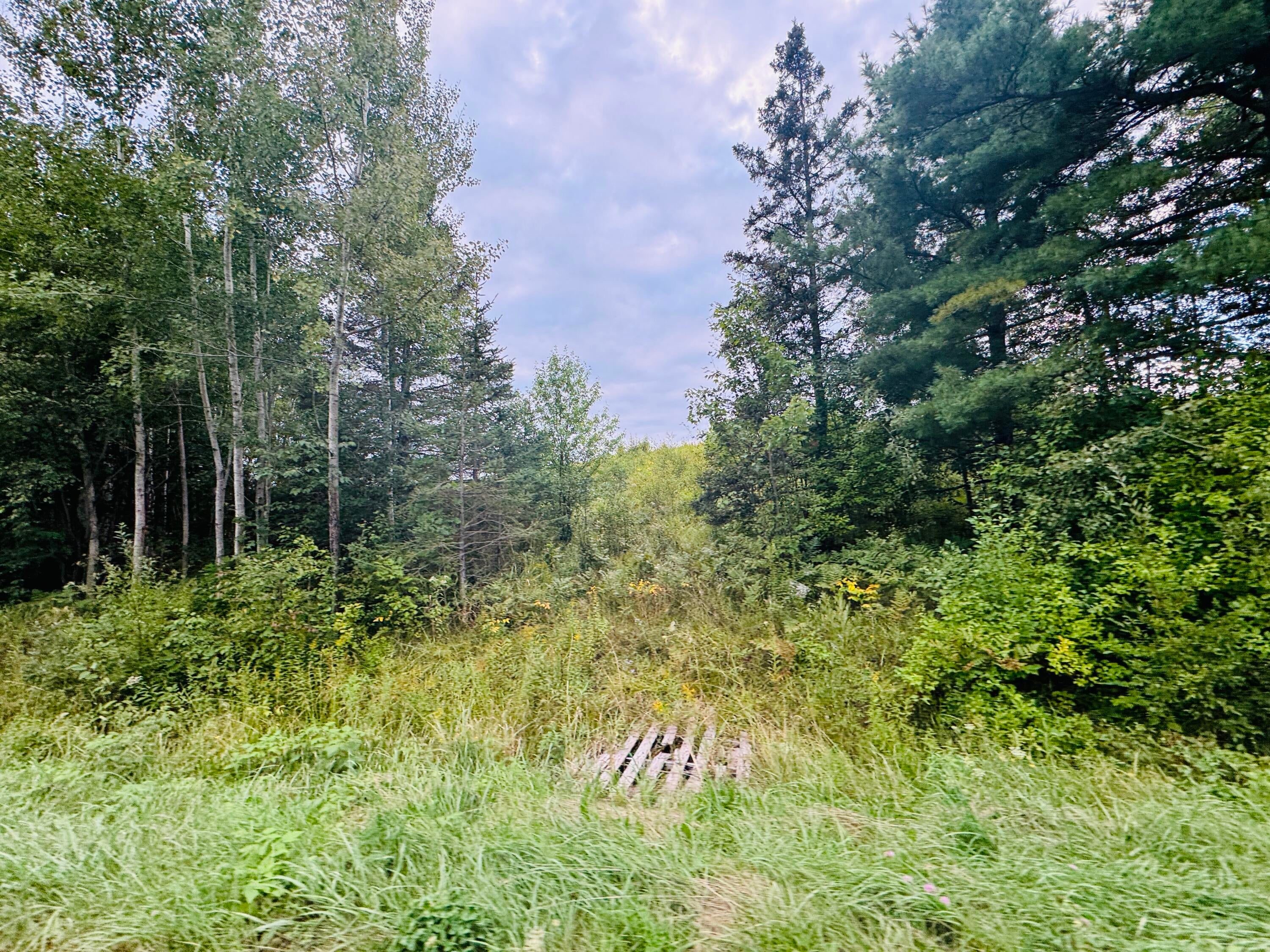 0 South Ridge Road Sault Ste. Marie, MI 49783 - Photo 10 of 10 Gallery Image 10