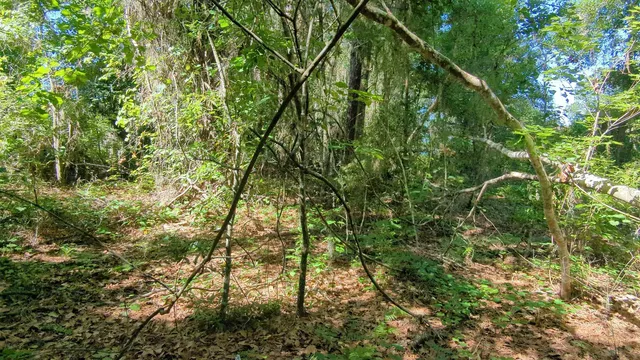 $33,000 | 104 Flora Terrace, Florahome, FL 32140