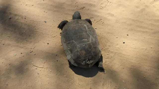 $33,000 | 104 Flora Terrace, Florahome, FL 32140