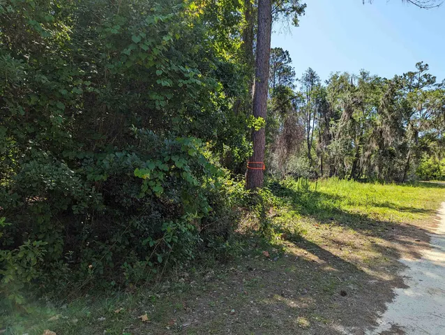 $33,000 | 104 Flora Terrace, Florahome, FL 32140