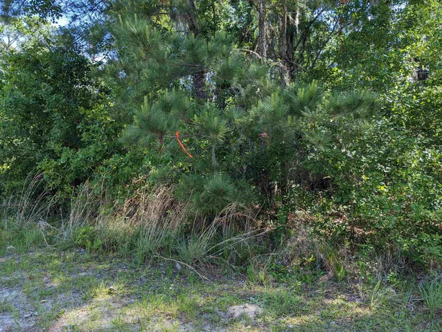 $33,000 | 104 Flora Terrace, Florahome, FL 32140